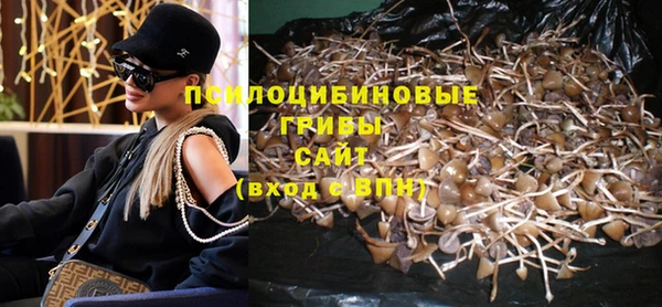 метадон Бородино