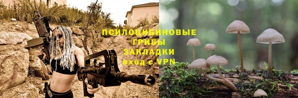 мдпв Бугульма