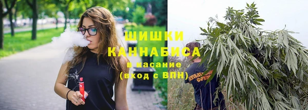 мдпв Бугульма
