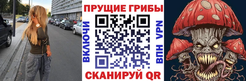 hydra tor  Балаково  Псилоцибиновые грибы Cubensis 